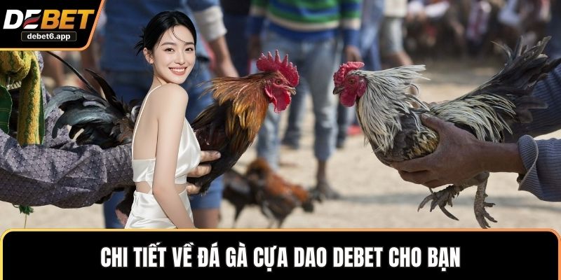 Chi tiết về đá gà cựa dao DEBET cho bạn 