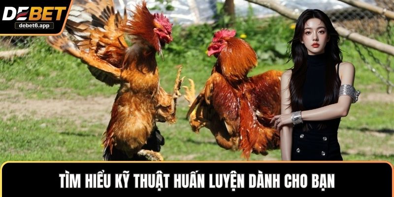 Tìm hiểu kỹ thuật huấn luyện dành cho bạn 
